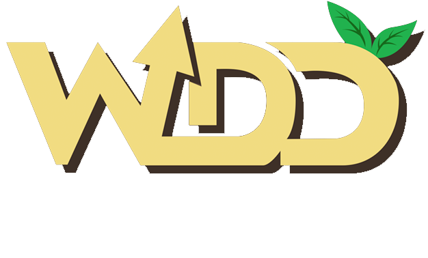 WealthDD – วางแผนการเงินมั่งคงอย่างยั่งยืน
